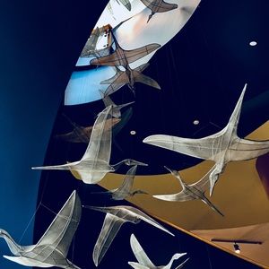 Meet your Posher, Barbara